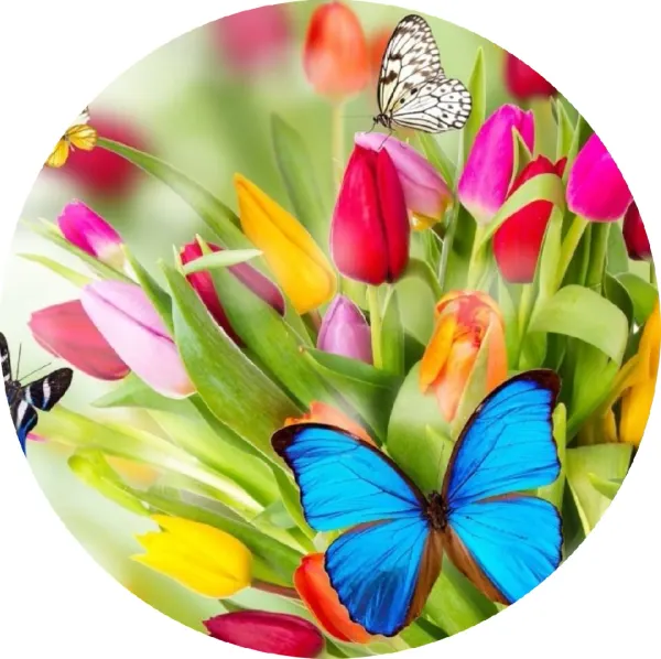 Kulatý jedlý obrázek na dort – Tulipány s modrým motýlem (zelená, modrá, růžová)
